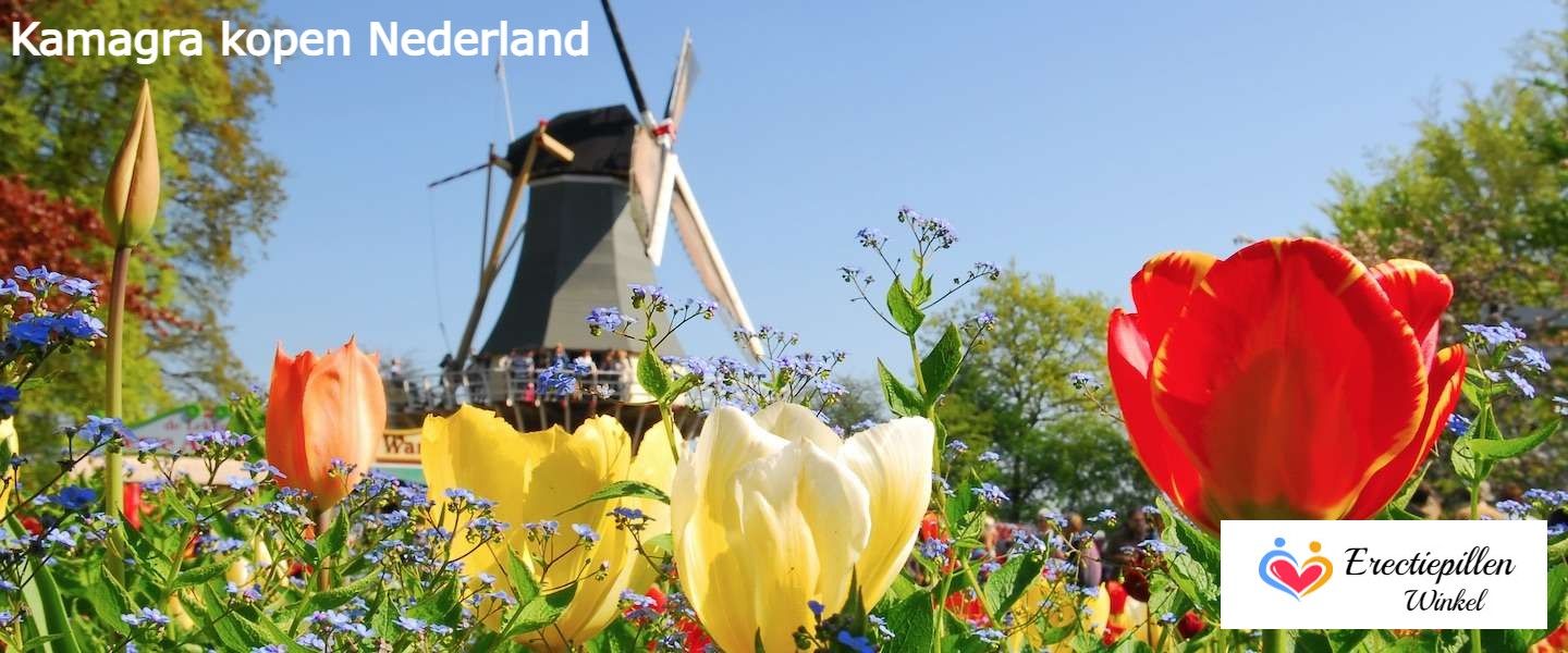 foto van windmolen in tulpenlandschap met tekst: Kamagra kopen Nederland